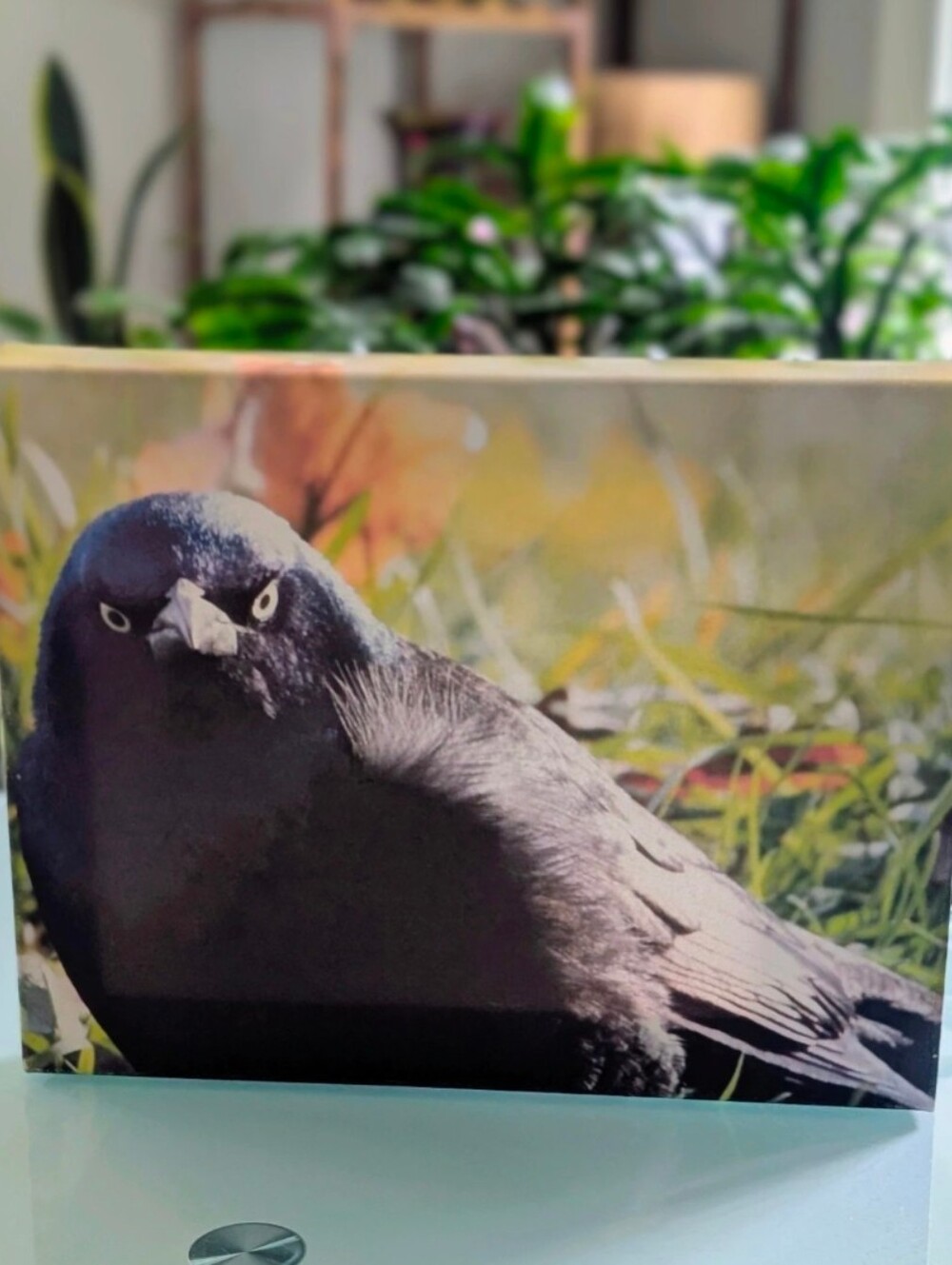 Crow Print on Canvas
